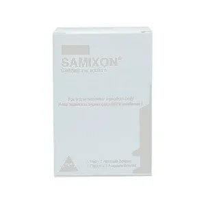 Samixon 1Gm Vial I V 1 P