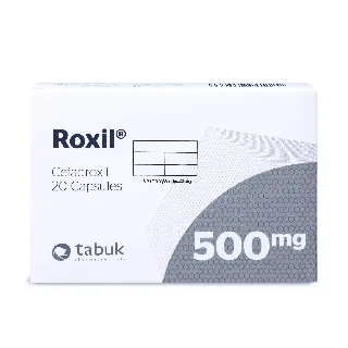 Roxil 500 Mg Capsule 20P