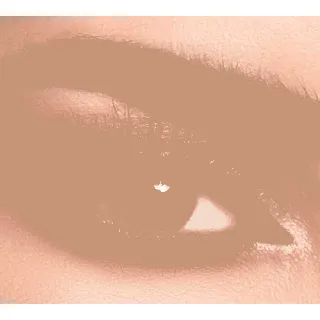 Lens Me Coloured Contact Lenses Daily Smokey 2P