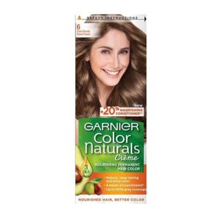 Garnier Hair Dye Color Dark Blonde 6