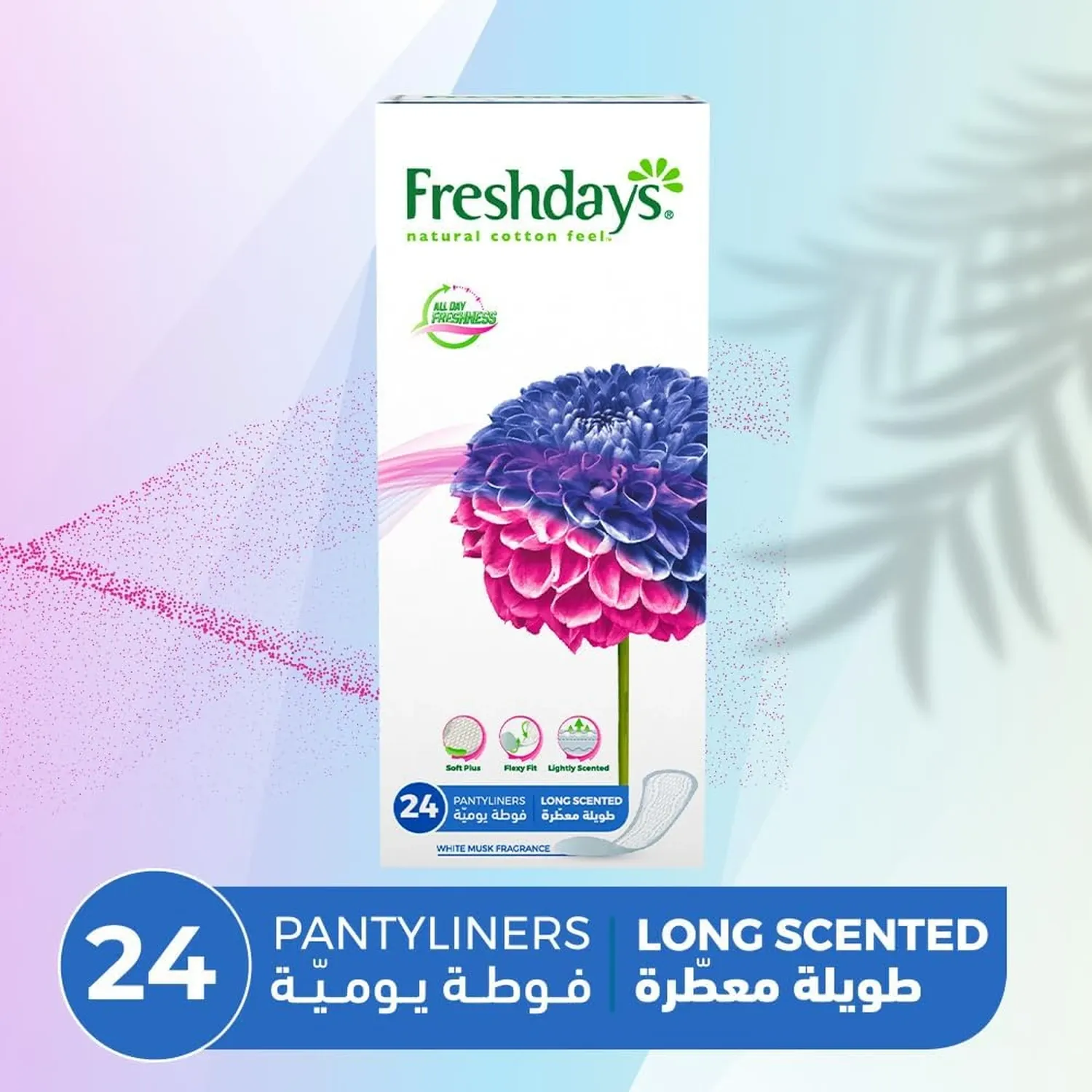 فريش دايز طويلة معطر 24*12ك - Image 2